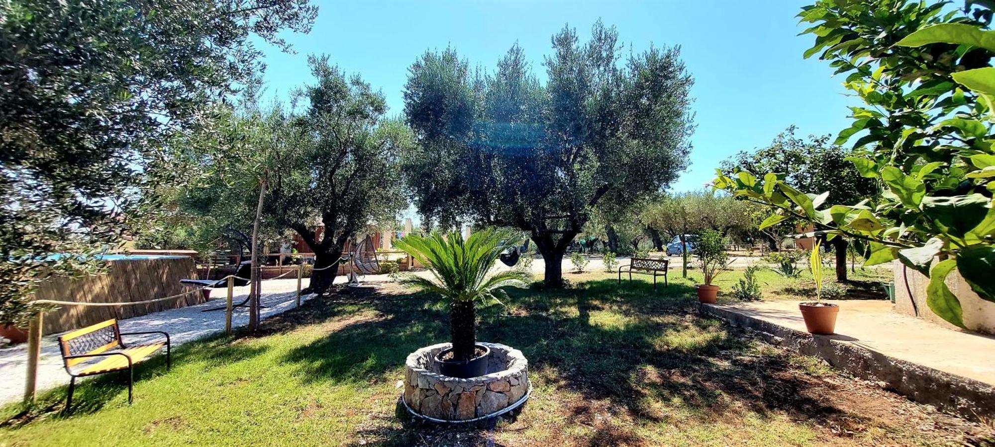 Parco Esmeralda - Family Residence E Breakfast Marina di Camerota Extérieur photo